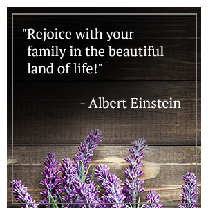 Rejoice with your family in the beautiful land of life! - Albert Einstein